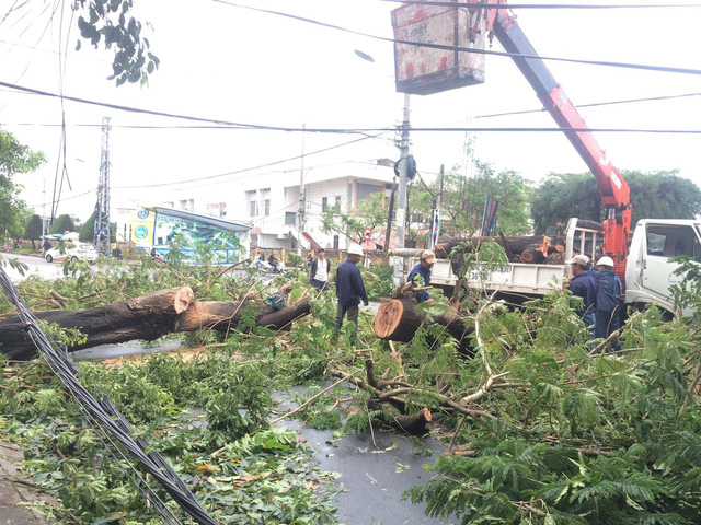 Dân vùng rốn bão không ngờ Con Voi quá khủng khiếp!